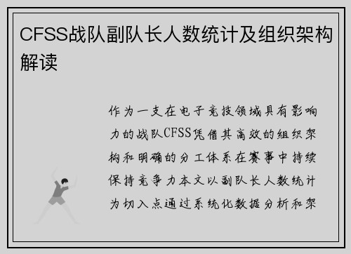 CFSS战队副队长人数统计及组织架构解读