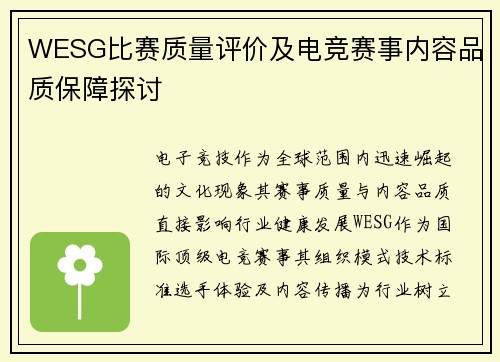 WESG比赛质量评价及电竞赛事内容品质保障探讨
