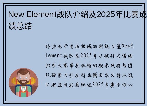 New Element战队介绍及2025年比赛成绩总结