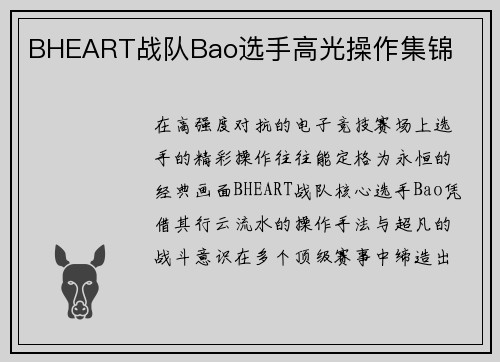 BHEART战队Bao选手高光操作集锦